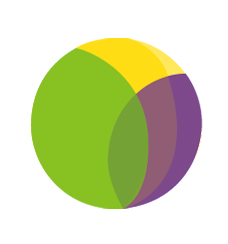Technical Project Manager & Software Developer